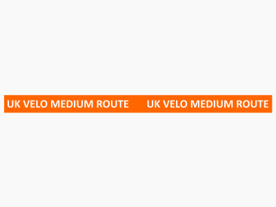 Medium event ribbon in orange